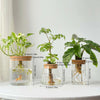 Hydroponic Glass Vase for Plant Cultivation Home Decoration Desktop Decoration Small Flower Pot Garden Accessories Pot for Plant