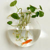 2022 New Hanging Flower Pot Glass Ball Vase Terrarium Wall Fish Tank Aquarium Container Home Decoration 10cm 12cm 15cm