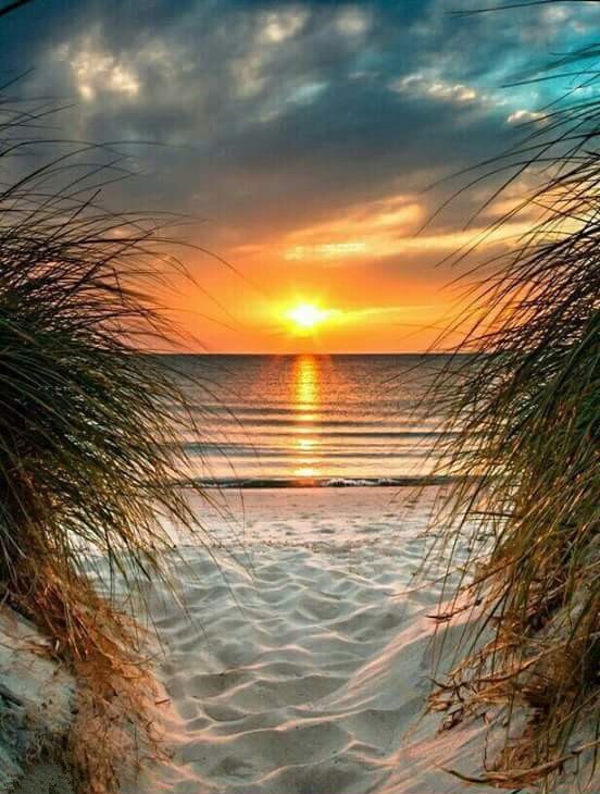Trail To The Beach
