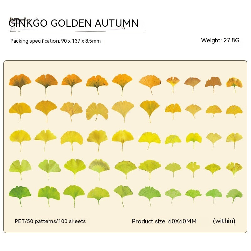 Journal Material Plant Tree 6 Models