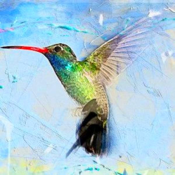 Flying Jewel 5D Diamond Painting Kit