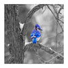 Blue Sparrow 5D Diamond Painting Kit