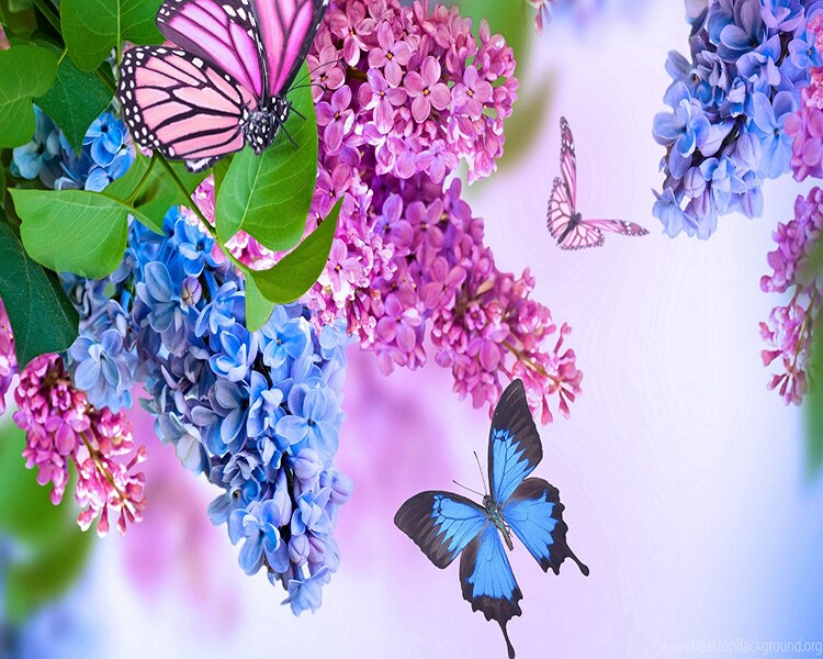 Lilac Butterflies 5D Diamond Painting Kit
