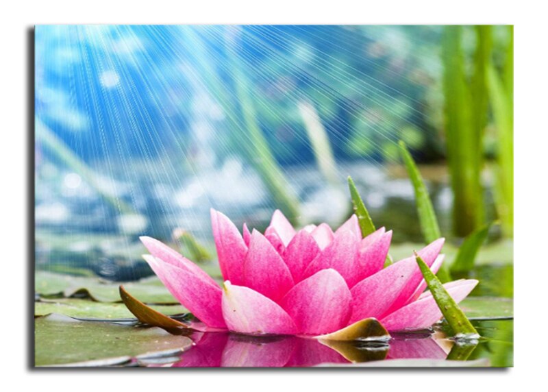 Pink Lotus 5D Diamond Painting Kit