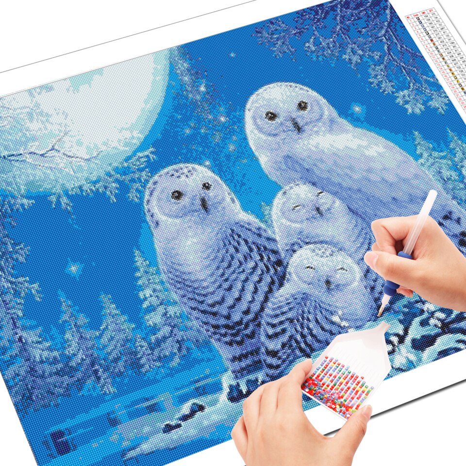 Owl Family