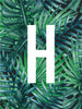 All Green Plants Letter