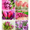 Sparkling Tulip