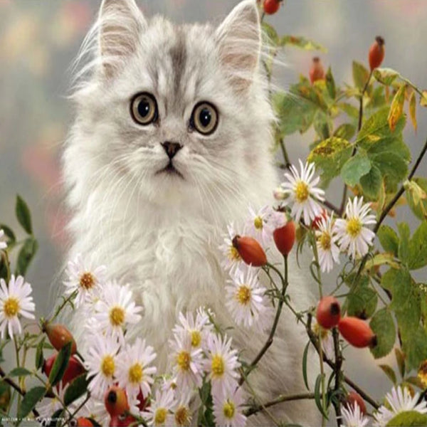 Kitten With Daisies 5D Diamond Painting Kit