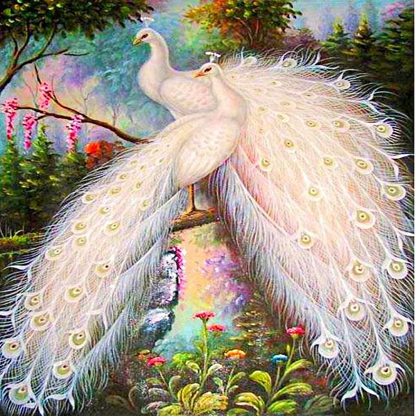 Shiny White Peacocks 5D Diamond Painting Kit