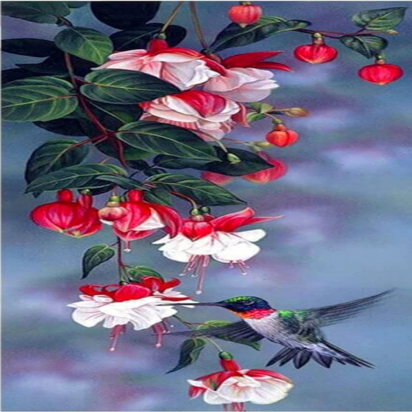 Hummingbird Visiting Fuchsia 5D Diamond Painting Kit