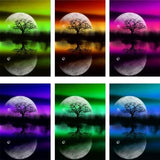 Moonlight Tree Color Collection