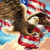 Liberty Eagle 5D Diamond Painting Kit