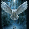 White Owl 5D Diamond Painting Kit