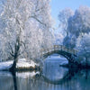 Winter Bridge 5D Diamond Painting Kit