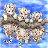 Tiger Cubs 5D Diamond Painting Kit