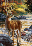River Deer 5D Diamond Painting Kit