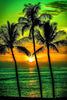 Tropical Harmony 5D Diamond Painting Kit