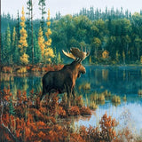 Swamp Pond Moose 5D Diamond Painting Kit