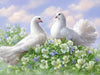 Flower Doves 5D Diamond Painting Kit