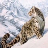 Snow Leopard's Kingdom 5D Diamond Painting Kit