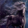 Windy Night Horse 5D Diamond Painting Kit