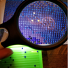 5D LED Magnifying Glass