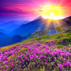 Valley Of Flowers 5D Diamond Painting Kit