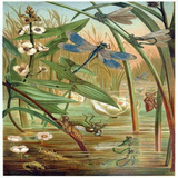 Dragonfly Lifecycle 5D Diamond Painting Kit