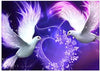 Dove Romance 5D Diamond Painting Kit