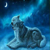 Frosty Night Wolves 5D Diamond Painting Kit