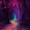 Purple Forest Trail 5D Diamond Painting Kit