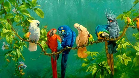 Parrots On The Branch 5D Diamond Painting Kit