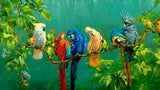Parrots On The Branch