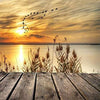 Evening On The Dock 5D Diamond Painting Kit