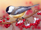Bird with Berries