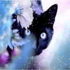 Winter Cat 5D Diamond Painting Kit