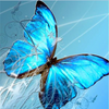 Colorful Butterflies Collection 5D Diamond Painting Kit