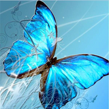 Colorful Butterflies Collection 5D Diamond Painting Kit