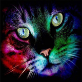 Colorful Cat 5D Diamond Painting Kit