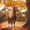 Autumn Horse 5D Diamond Painting Kit