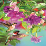 Hummingbird Flight 5D Diamond Painting Kit