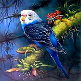 Forest Parrot 5D Diamond Painting Kit