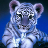 White Tiger Butterflies 5D Diamond Painting Kit