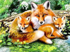 Fox Family