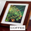 5D Solid Wooden Colorful Frames