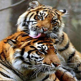 Tiger Love 5D Diamond Painting Kit