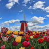 Tulip Field Windmill 5D Diamond Painting Kit