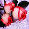 Fair Red Roses 5D Diamond Painting Kit