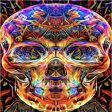 Psychedelic Skull 5D Diamond Painting Kit