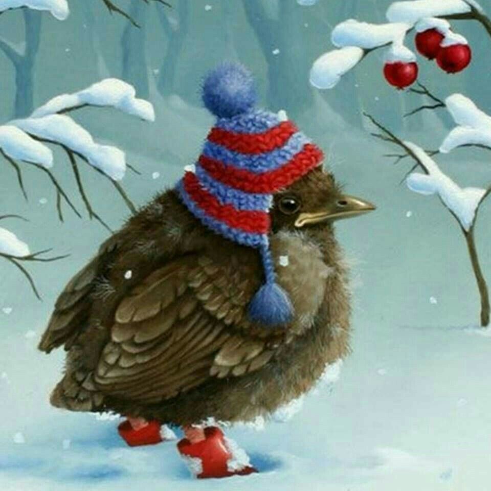 Sparrow Winter